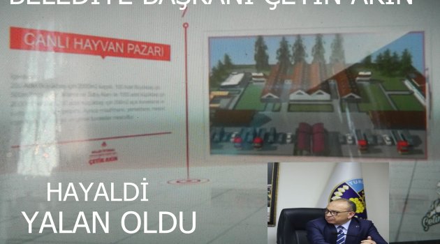 Yapacağım demek kolay, bakın hayvan pazarı yapamadık, 